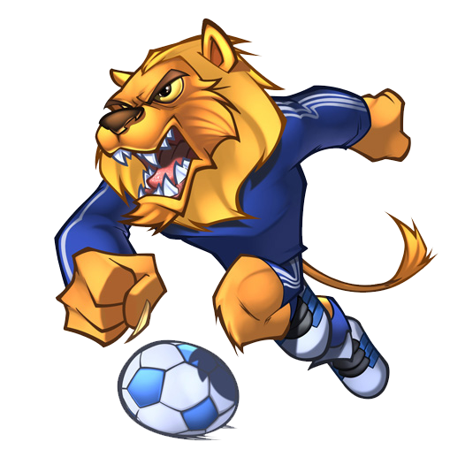 U17女世界杯